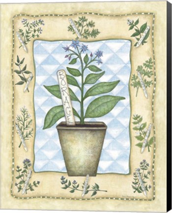 Framed Borage Print