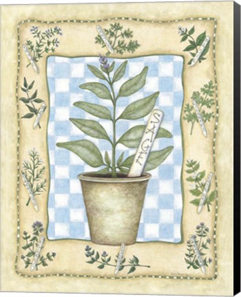 Framed Sage Print