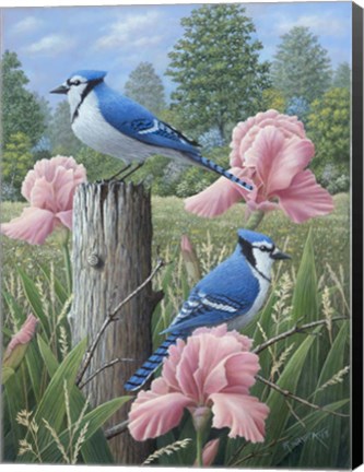 Framed Blue Jays Print