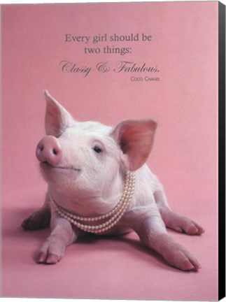 Framed Pretty In Pink Print