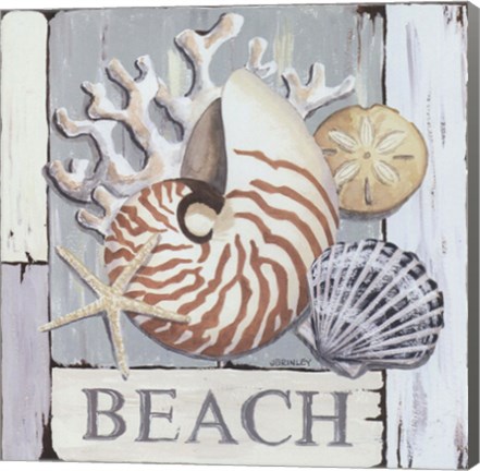 Framed Coral Beach Print