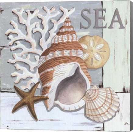 Framed Coral Sea Print