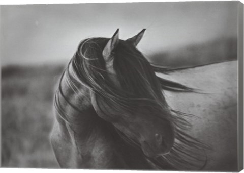 Framed Fierce Grace Print