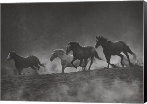 Framed Run With The Wind Print