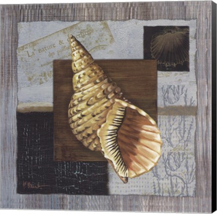 Framed Westport Triton Print