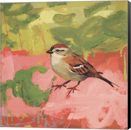 Framed Pink Sugar Sonnet Print