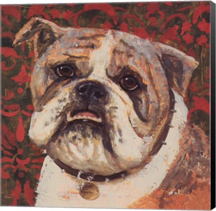 Framed Bulldog Print