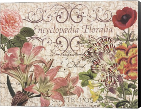 Framed Encyclopedia Floralia 2 Print