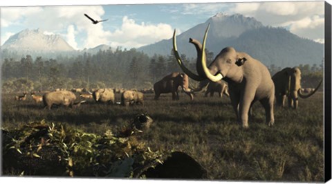 Framed Columbian Mammoths And Bison Roam The Ancient Plains Of North America Print