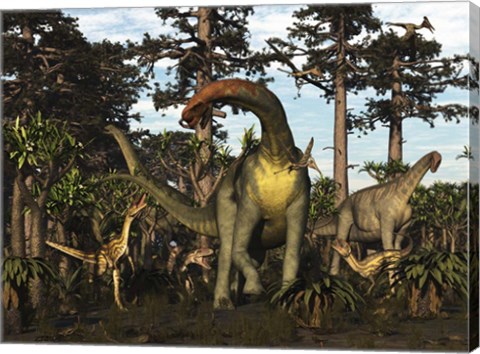 Framed Jobaria Dinosaur Is Menaced By Afrovenators In Jurassic North Africa Print