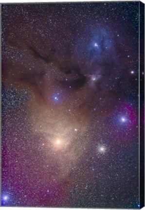 Framed colorful region around Antares in Scorpius and blue Rho Ophiuchi in Ophiuchus Print