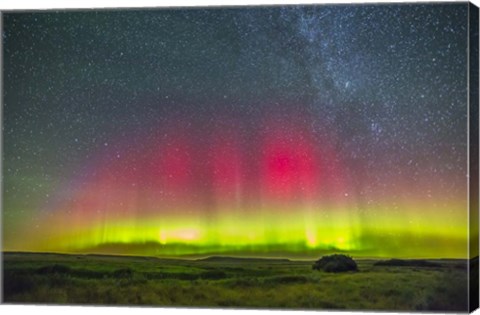 Framed Aurora borealis above Grasslands National Park in Saskatchewan, Canada Print