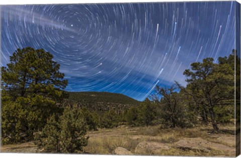 Framed Circumpolar star trails over the Gila National Forest in southern New Mexico Print