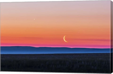 Framed Moon and Venus rising over the flat prairie horizon of Alberta, Canada Print