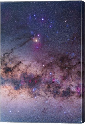 Framed Scorpius with parts of Lupus and Ara regions of the southern Milky Way Print