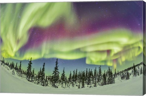 Framed Aurora borealis over Churchill, Manitoba, Canada Print