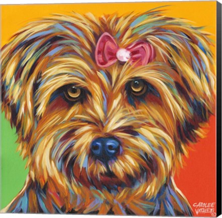 Framed Sweet Yorkie I Print