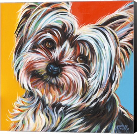 Framed Sweet Yorkie II Print