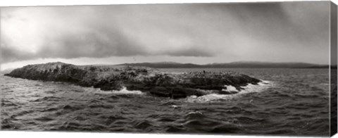 Framed Island of arctic birds and sea lions, Beagle Channel, Patagonia, Argentina Print