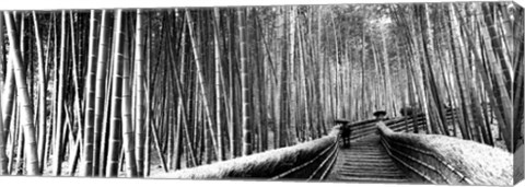 Framed Stepped walkway passing through a bamboo forest, Arashiyama, Kyoto, Japan Print