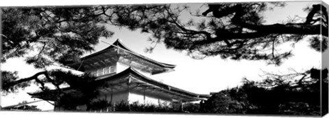 Framed Low angle view of trees in front of a temple, Kinkaku-ji Temple, Kyoto City, Japan Print