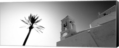 Framed Low angle view of a palm tree near a church , Ios, Greece Print