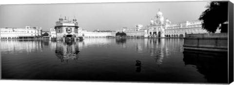 Framed Temple at the waterfront, Golden Temple, Amritsar, Punjab, India Print