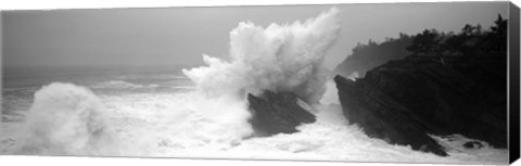 Framed Waves breaking on the coast, Shore Acres State Park, Oregon BW Print