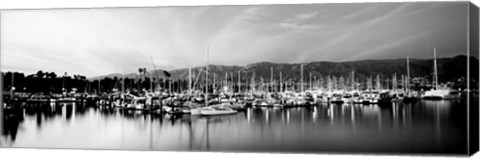 Framed Boats moored in harbor at sunset, Santa Barbara Harbor, California Print