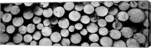 Framed Marked Wood In A Timber Industry, Black Forest, Germany BW Print