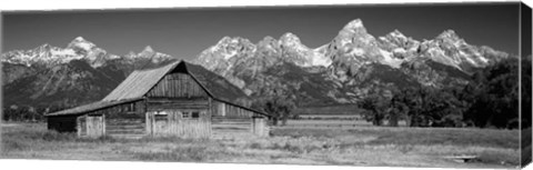 Framed Old barn on a landscape, Grand Teton National Park, Wyoming Print