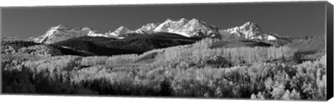 Framed Colorado, Rocky Mountains, aspens, autumn Print