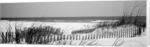 Framed Fence on the beach, Bon Secour National Wildlife Refuge, Bon Secour, Alabama Print