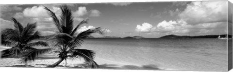 Framed Salomon Beach US Virgin Islands Print