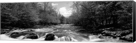 Framed Little Pigeon River, Great Smoky Mountains National Park, Tennessee Print