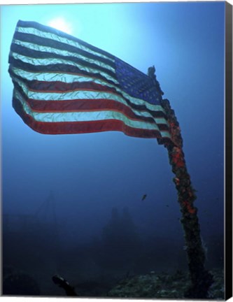 Framed American Flag on a Sunken Ship in Key Largo, Florida Print