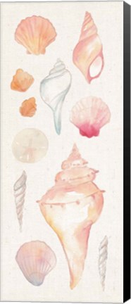 Framed Sea Gems II Print