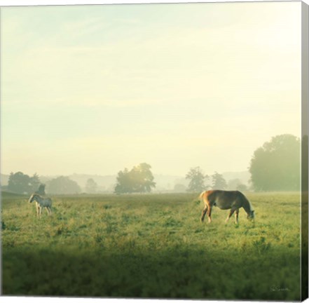 Framed Farm Morning I Square Print