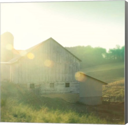 Framed Farm Morning II Square Print