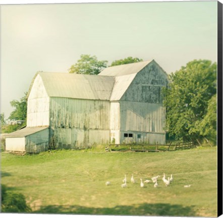 Framed Farm Morning III Square Print