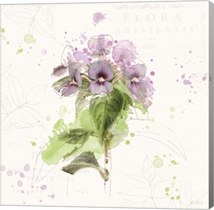 Framed Floral Splash III Print