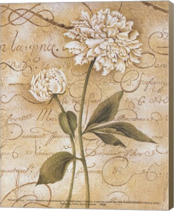 Framed Calligraphy Peony Print