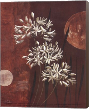 Framed Moonlight Blossoms II Print