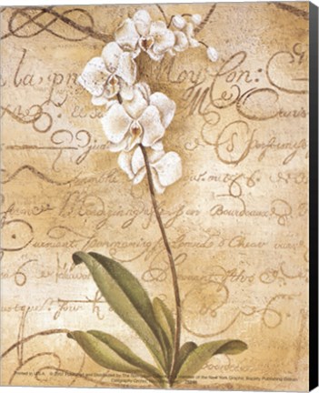 Framed Calligraphy Orchid Print