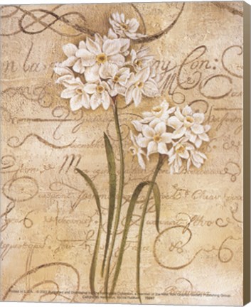 Framed Calligraphy Narcissus Print