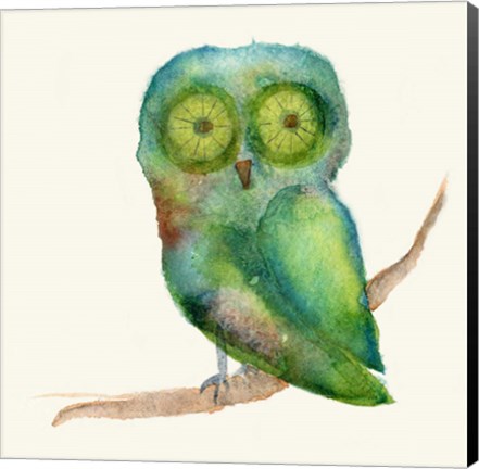Framed Green Owl Print