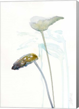 Framed Botanical Study I Print