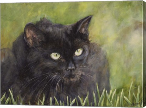 Framed Black Cat Print