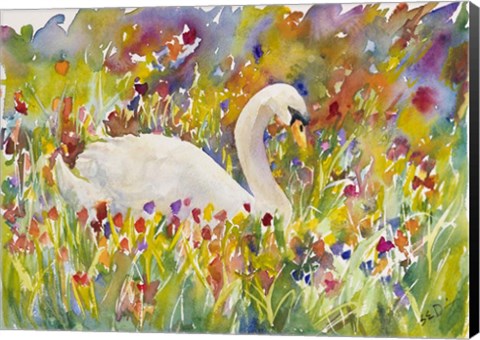 Framed Colorful Swan Print