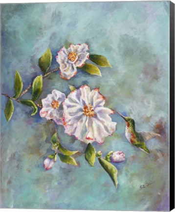 Framed Hummingbird with Camellias Print